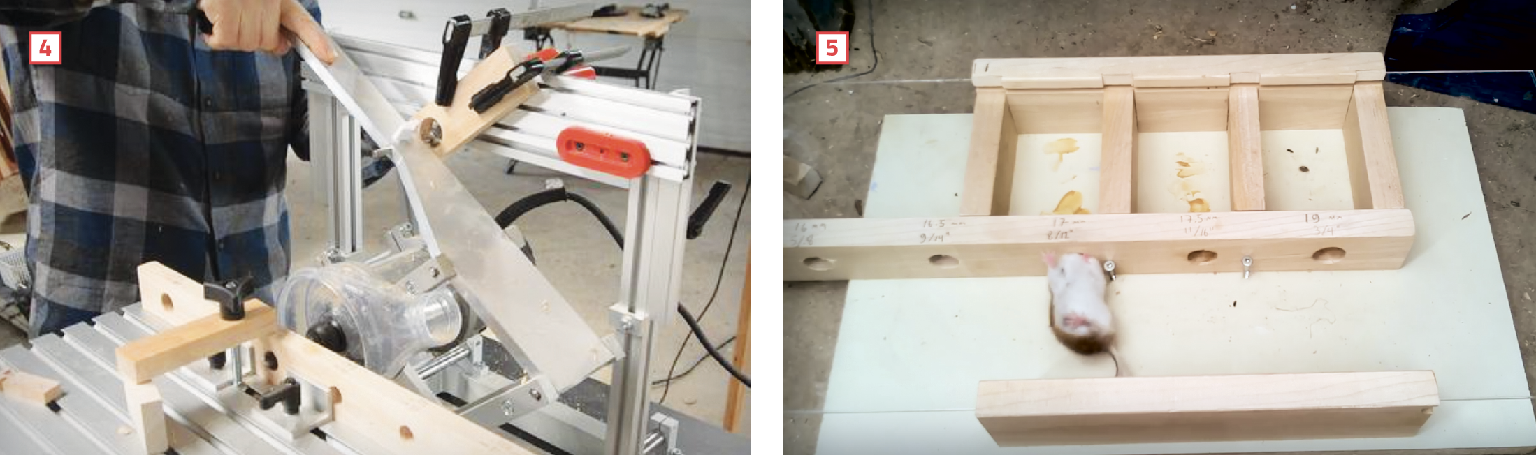 test to show how small of a hole mice can squeeze through